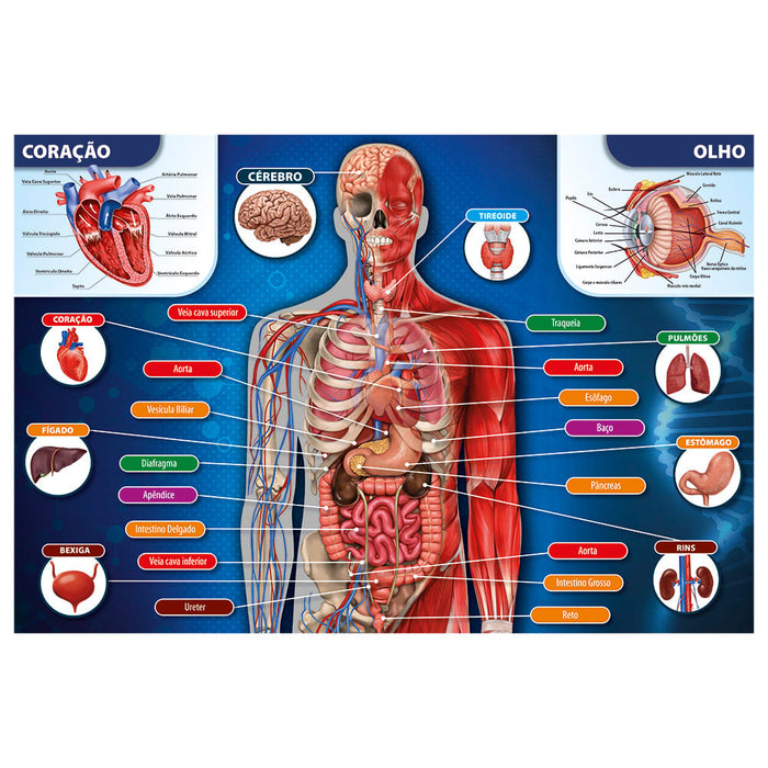 Puzzle 200 peças Corpo Humano / Puzzle 200 pieces human body - Grow