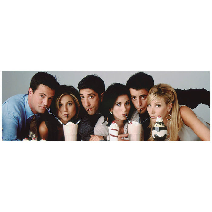 Puzzle 350 peças Panorama Friends / Puzzle 350 pieces Panorama Friends - Grow