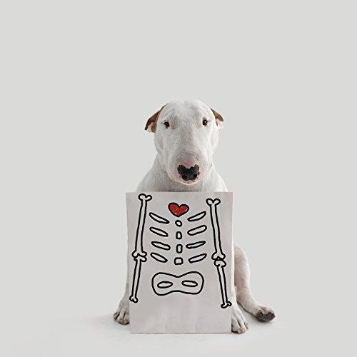 Um Cão Chamado Jimmy (Português) Capa dura