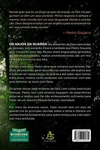 Todo mundo tem um anjo da guarda (Portuguese Edition) - Pedro Siqueira