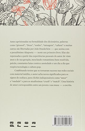 O livro dos ressignificados - Akapoeta