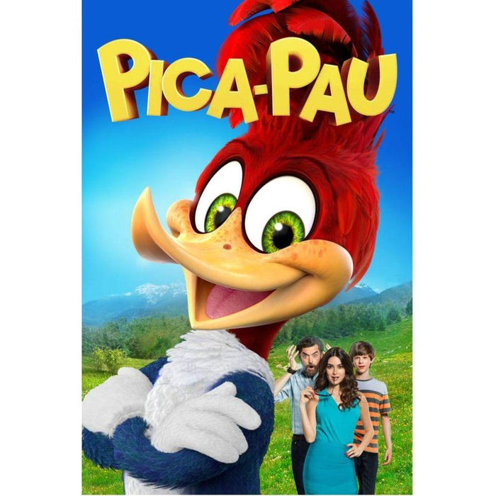 DVD Pica Pau: O Filme