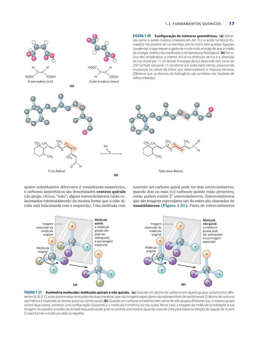 Princípios de Bioquímica de Lehninger (Português) Capa dura