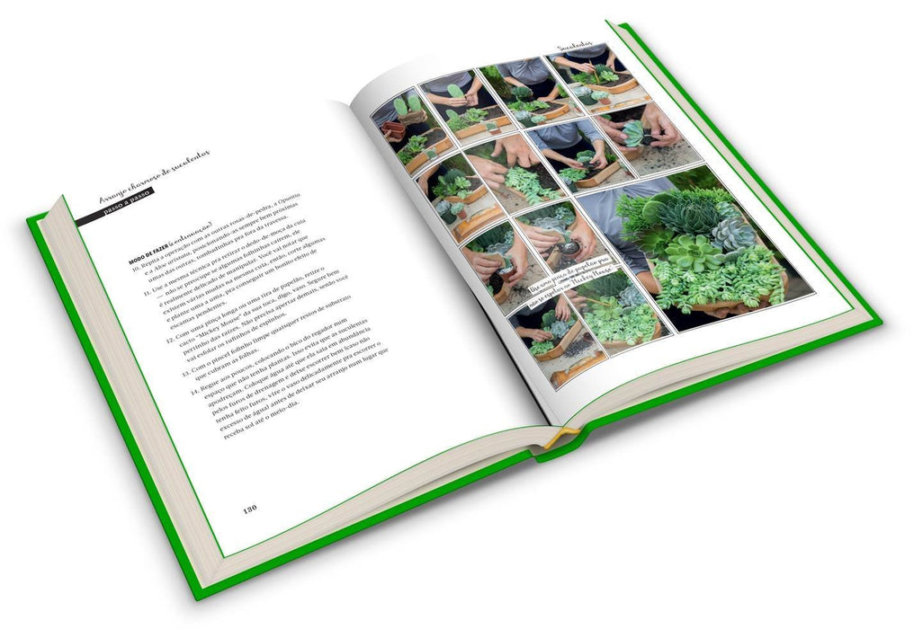 Minhas plantas - jardinagem para todos: (até quem mata cactos) (Português) Capa dura