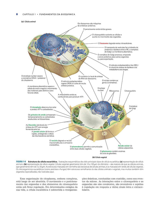 Princípios de Bioquímica de Lehninger (Português) Capa dura