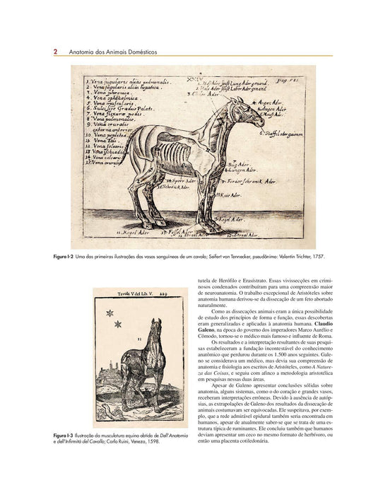 Anatomia dos Animais Domésticos: Texto e Atlas Colorido (Português) Capa comum