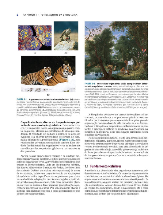 Princípios de Bioquímica de Lehninger (Português) Capa dura