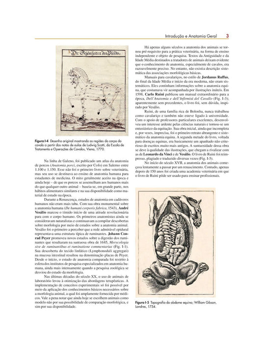 Anatomia dos Animais Domésticos: Texto e Atlas Colorido (Português) Capa comum