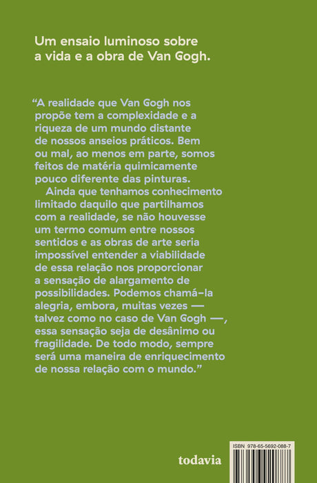 Van Gogh: A salvação pela pintura (Português) Capa comum