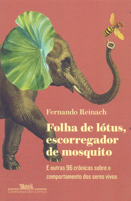 Folha de lótus, escorregador de mosquito: E outras 96 crônicas sobre o comportamento dos seres vivos (Português) Capa comum