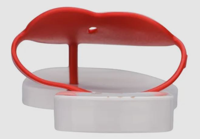 Melissa Vivienne Westwood Anglomania + Sun Heart Red and White Slipper Shoe