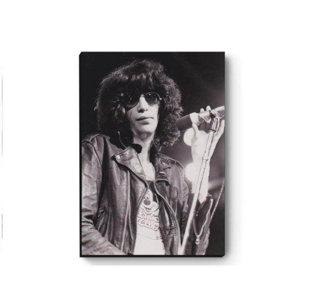 Joey Ramone MDF Canvas Decorative Collectible Framework Painting Art A4