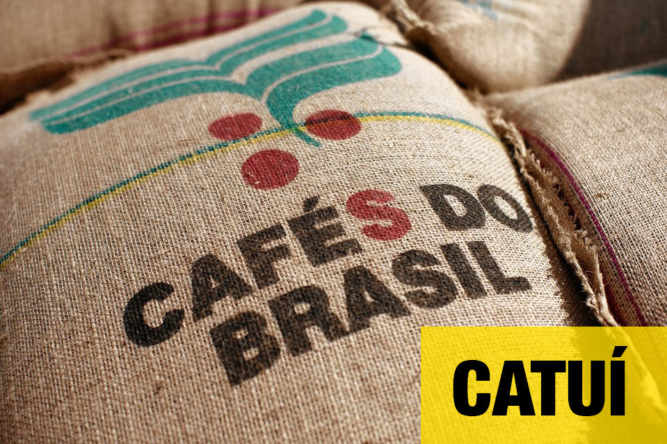 Catui Brazilian Especial Coffee Beans Medium Roast - Roasted SAME DAY 1kg / 2.2 lbs