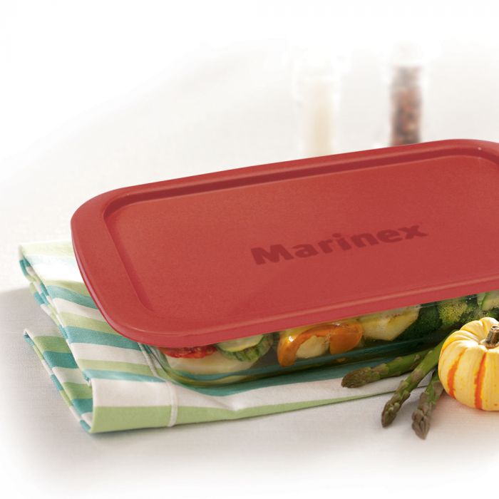 Conjunto Assadeiras Retangulares 1,6l Com Tampa Marinex 3 Peças / Rewards set 1.6L with marinex lid 3 pieces - Nadir Figueiredo